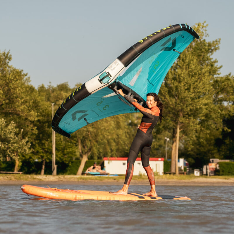 Wingsurf Basic